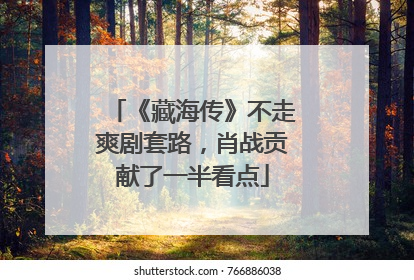 《藏海传》不走爽剧套路，肖战贡献了一半看点