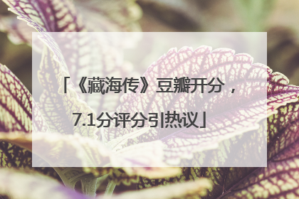 《藏海传》豆瓣开分，7.1分评分引热议