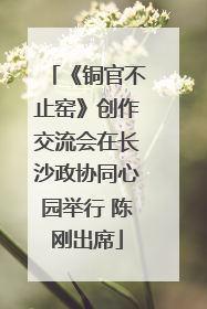 《铜官不止窑》创作交流会在长沙政协同心园举行 陈刚出席