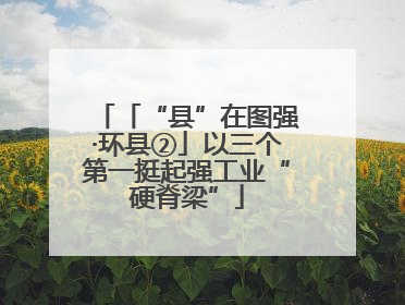 「“县”在图强·环县②」以三个第一挺起强工业“硬脊梁”