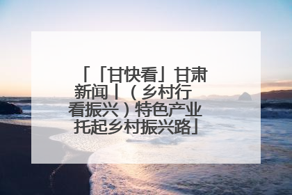 「甘快看」甘肃新闻丨（乡村行 看振兴）特色产业托起乡村振兴路