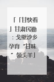 「甘快看」甘肃民勤：戈壁沙乡孕育“甘味”领头羊