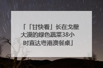「甘快看」长在戈壁大漠的绿色蔬菜38小时直达粤港澳餐桌