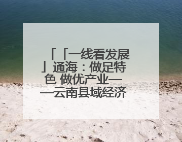 「一线看发展」通海：做足特色 做优产业——云南县域经济样本观察之二