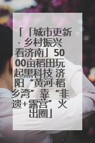「城市更新· 乡村振兴看济南」5000亩稻田玩起黑科技 济阳“黄河·稻乡湾”靠“非遗+露营”火出圈