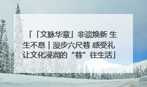 「文脉华章」非遗焕新 生生不息｜漫步六尺巷 感受礼让文化浸润的“巷”往生活
