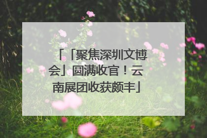 「聚焦深圳文博会」圆满收官！云南展团收获颇丰