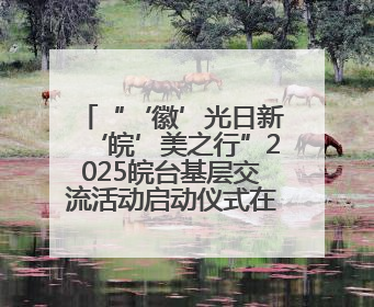 “‘徽’光日新‘皖’美之行”2025皖台基层交流活动启动仪式在芜举行