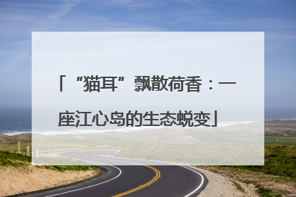“猫耳”飘散荷香：一座江心岛的生态蜕变