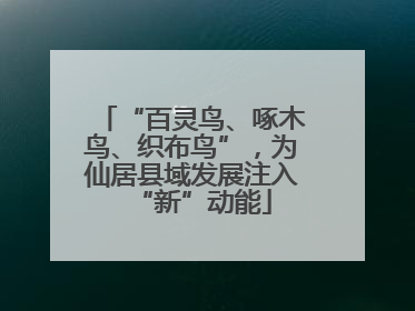 “百灵鸟、啄木鸟、织布鸟”，为仙居县域发展注入“新”动能