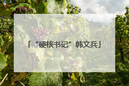 “硬核书记”韩文兵