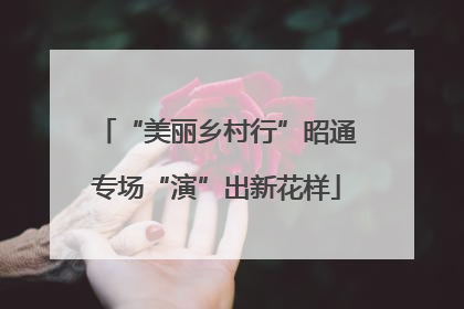 “美丽乡村行”昭通专场“演”出新花样