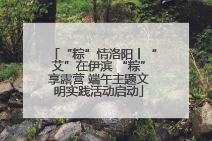 “粽”情洛阳丨“艾”在伊滨 “粽”享露营 端午主题文明实践活动启动