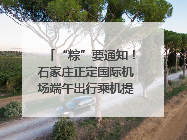 “粽”要通知！石家庄正定国际机场端午出行乘机提示，快来get