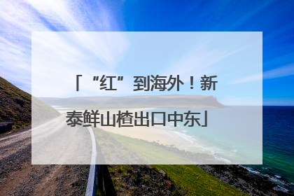 “红”到海外！新泰鲜山楂出口中东