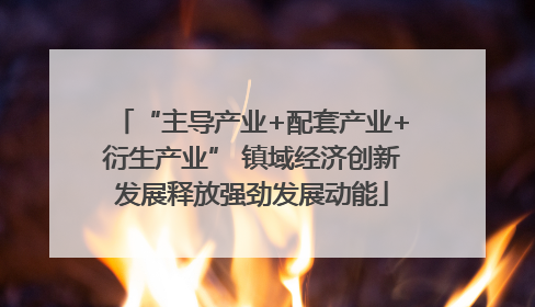 “主导产业+配套产业+衍生产业” 镇域经济创新发展释放强劲发展动能