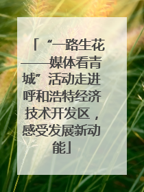 “一路生花——媒体看青城”活动走进呼和浩特经济技术开发区，感受发展新动能