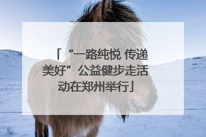 “一路纯悦 传递美好”公益健步走活动在郑州举行