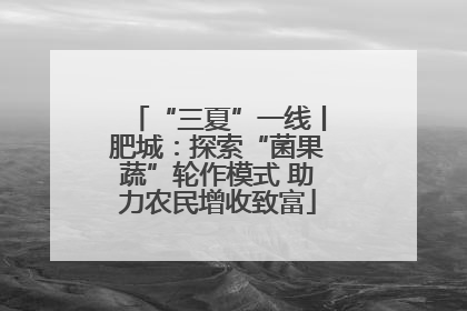 “三夏”一线丨肥城：探索“菌果蔬”轮作模式 助力农民增收致富