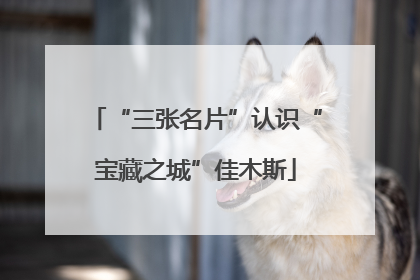 “三张名片”认识“宝藏之城”佳木斯