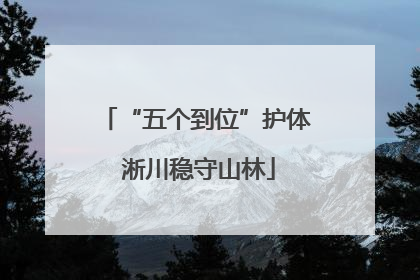 “五个到位”护体 淅川稳守山林