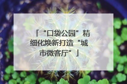“口袋公园”精细化焕新打造“城市微客厅”