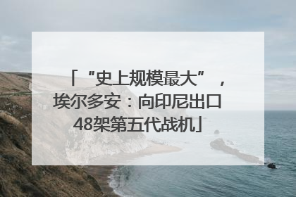 “史上规模最大”，埃尔多安：向印尼出口48架第五代战机