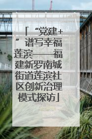 “党建+”谱写幸福莲滨——福建新罗南城街道莲滨社区创新治理模式探访