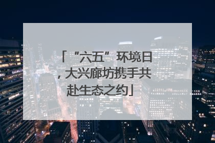 “六五”环境日，大兴廊坊携手共赴生态之约