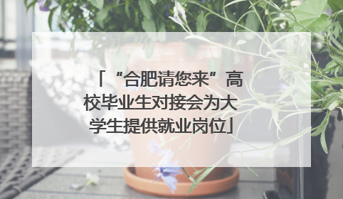 “合肥请您来”高校毕业生对接会为大学生提供就业岗位
