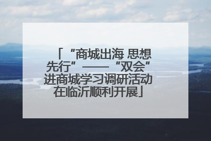 “商城出海 思想先行”——“双会”进商城学习调研活动在临沂顺利开展