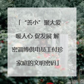 “善小”聚大爱 暖人心 促发展 解密淄博供电员工付珍家庭的文明密码