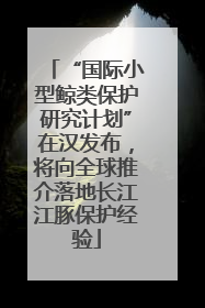 “国际小型鲸类保护研究计划”在汉发布，将向全球推介落地长江江豚保护经验