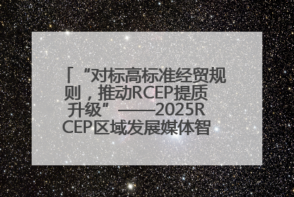 “对标高标准经贸规则，推动RCEP提质升级”——2025RCEP区域发展媒体智库论坛举行专题对话