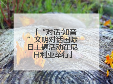 “对话·知音”文明对话国际日主题活动在尼日利亚举行