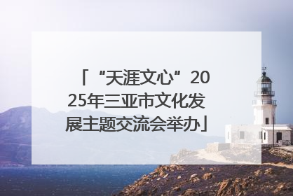 “天涯文心”2025年三亚市文化发展主题交流会举办