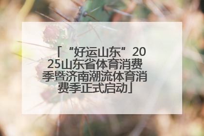 “好运山东”2025山东省体育消费季暨济南潮流体育消费季正式启动