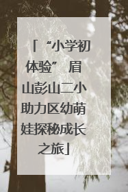 “小学初体验” 眉山彭山二小助力区幼萌娃探秘成长之旅