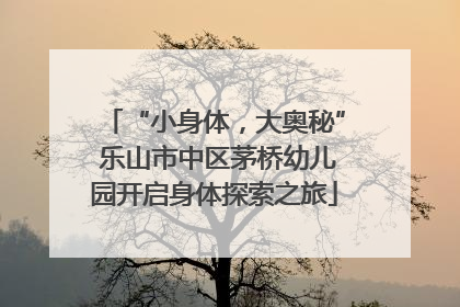 “小身体，大奥秘” 乐山市中区茅桥幼儿园开启身体探索之旅