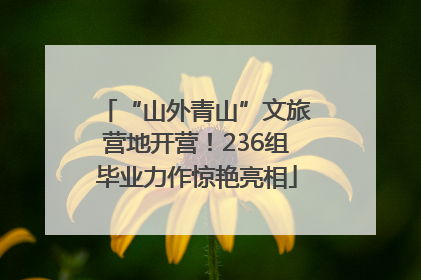 “山外青山”文旅营地开营！236组毕业力作惊艳亮相