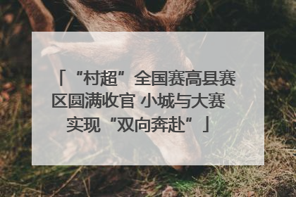 “村超”全国赛高县赛区圆满收官 小城与大赛实现“双向奔赴”