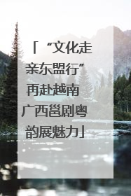 “文化走亲东盟行”再赴越南 广西邕剧粤韵展魅力