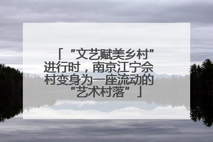 “文艺赋美乡村”进行时，南京江宁佘村变身为一座流动的“艺术村落”