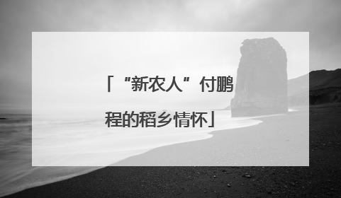 “新农人”付鹏程的稻乡情怀