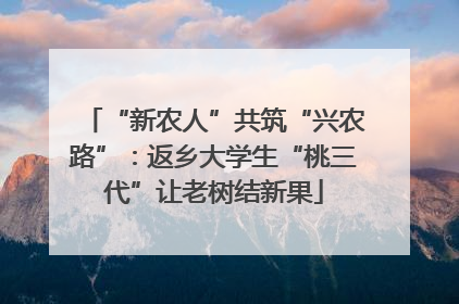 “新农人”共筑“兴农路”：返乡大学生“桃三代”让老树结新果