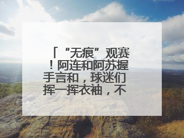 “无痕”观赛！阿连和阿苏握手言和，球迷们挥一挥衣袖，不留下一片云彩
