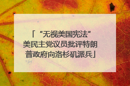 “无视美国宪法” 美民主党议员批评特朗普政府向洛杉矶派兵