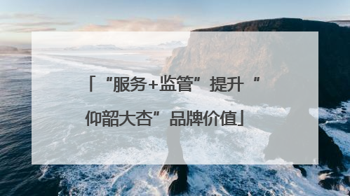 “服务+监管”提升“仰韶大杏”品牌价值