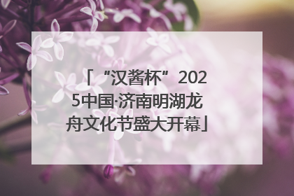 “汉酱杯”2025中国·济南明湖龙舟文化节盛大开幕