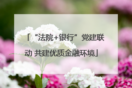 “法院+银行”党建联动 共建优质金融环境